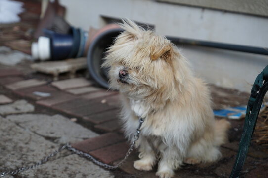 努城下photos Images Assets Adobe Stock