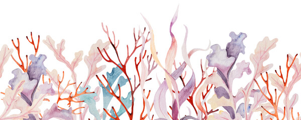  Watercolor seamless border made from seaweeds and coral in pastel colors. Illustration