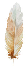 Watercolor beige feather, Bohemian element illustration isolated