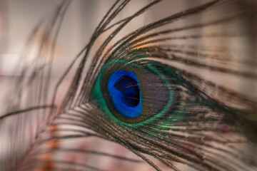 Obraz premium Amsterdam