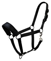 Black Polyester Horse Halder Isolated over White