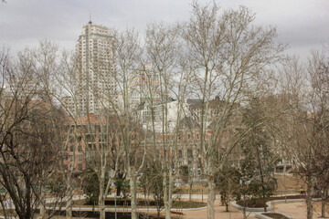 Fototapeta na wymiar view of the central park in winter