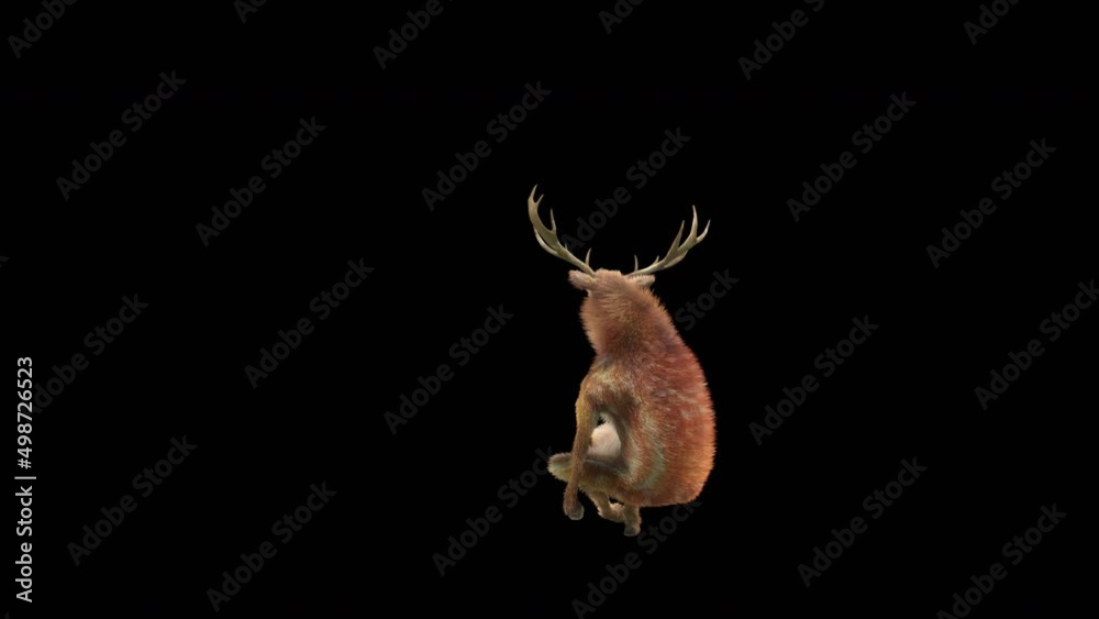Wall mural deer dancing cg fur 3d rendering animal realistic cgi vfx animation loop composition 3d mapping cart