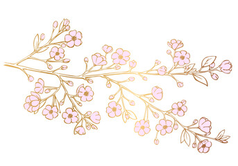 Luxury golden beautiful cherry branch with pink flowers isolated on white background. Vector Illustration