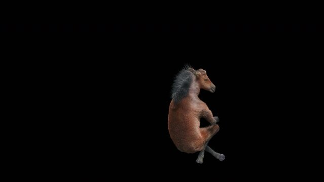 Horse Dancing, 3d rendering, Animation Loop, cartoon, included in the end of the clip with Alpha matte.