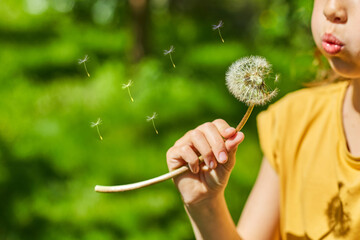 Adorable little girl blowing on a dandelion on a sunny summer day
