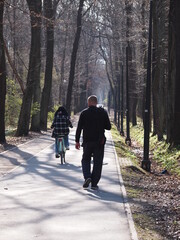 Forest road with people walking