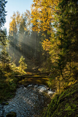 Beautiful forest and cliffs by the Amata river during sunny autumn day in Cecili nature trail near Ieriki, Latvia