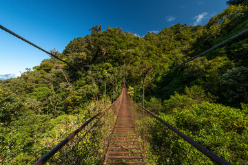 Suspension bridge in the cloud forest a great place for nature lovers, Volcano Baru National Park, Chiriqui highlands, Panama, central America
