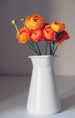 Beautiful fresh colorful red and orange ranunculus flowers in full bloom in vase against gray background. Spring bouquet of buttercups.