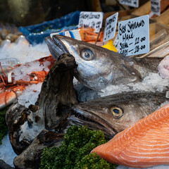 Two large fish heads buried in ice on display in Borough Market