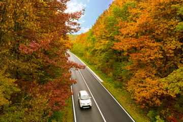 Aerial view of road going through beautiful autumn forest