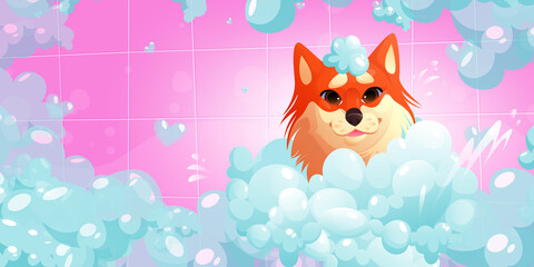 Dog washing procedure in spa or pets grooming salon, animal care services. Funny corgi puppy with foam on head enjoying salon pampering sit in tub with shampoo bubbles Cartoon vector Illustration