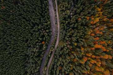 Aerial view of beautiful forest, river and empty road on autumn day