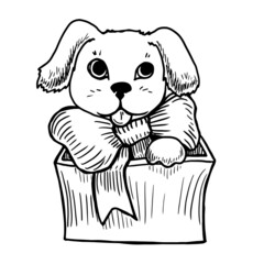 Dog in box vector illustration isolated on white background. Coloring page of gift with a puppy