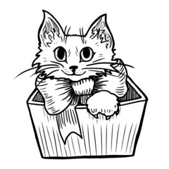 Cat in box vector illustration isolated on white background. Coloring page of gift with a kitten