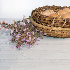 Farm Eggs In Basket. White Background. Copy Space. Fresh brown eggs in  bird nest with straw on a flat surface with Lilac sage wildflowers on the side. Stock image.