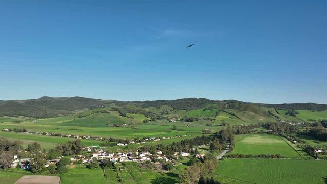 Majestic flight of booted eagle or Hieraaetus pennatus in slow-motion above andalusian landscape
