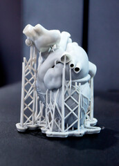 3D printed human heart prototype close-up. Object photopolymer printed on stereolithography 3D...