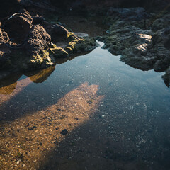 Pool of water on the beach