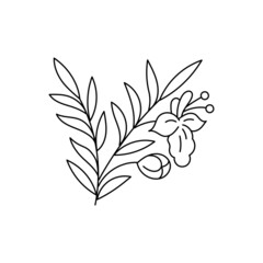 Rosemary spices. Cooking ingredient. Line icon. Editable stroke size. Open paths. Vector sketch illustration.