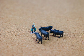  Animal welfare and farming of cattle.