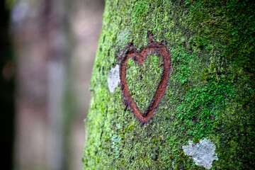 Herz auf dem Baum