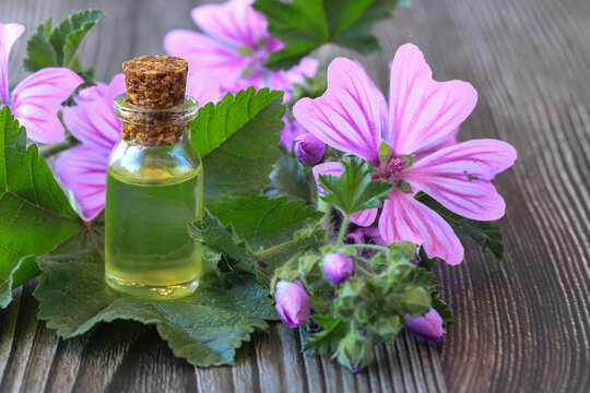 Jaswand or Hibiscus oil on wooden background, selective focus
