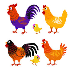 Chicken,hen , rooster illustration poultry and farm animal vector set graphic design element.