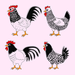 Chicken,hen , rooster illustration poultry and farm animal vector set graphic design element.