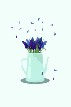 Purple Primroses In A Turquoise Jug With Petals, 
Springtime, Invitation, Postcard With Muscari Flowers 
In Vector