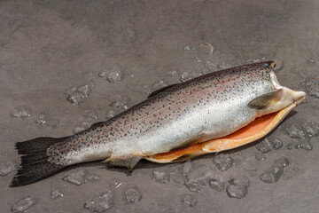 Raw trout carcass with ice on a grey stone concrete background. Sea fish, healthy food