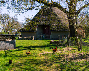 Thatched roof barn in a small village with free range chickens in the foreground