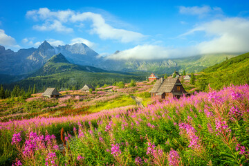 Hala Gąsienicowa, Tatra Mountains, Mountain Landscape - 498740770