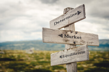 determine market equilibrium text quote written in wooden signpost outdoors in nature. Moody theme feeling.