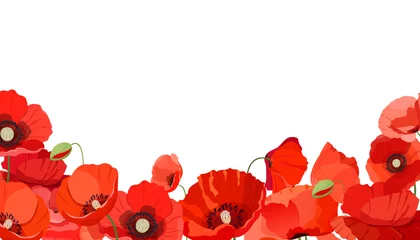 Foto op Plexiglas Poppy flowers. Horizontal background with red poppies flowers. Vector illustration © Sabina Schaaf