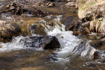 stream in the forest