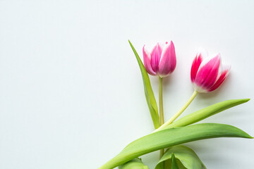 Hintergrund mit Tulpen