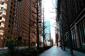 都会のおしゃれな通り