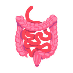 Guts semi flat color vector object. Digestive system. Full sized item on white. Human organ anatomy. Internal organ. Simple cartoon style illustration for web graphic design and animation