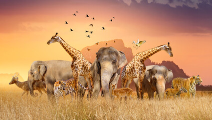 World Wildlife Day  Groups of wild beasts were gathered in large herds in the open field in the...