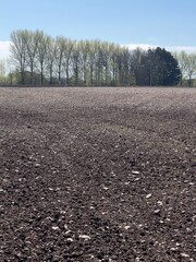 plowed field in autumn