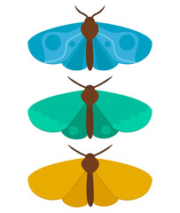 Simple, colorful, beautiful, different moths. Vector graphic.	