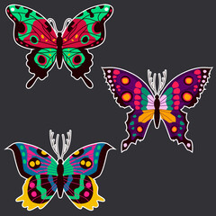 Fototapeta na wymiar Three isolated, simple, colorful, beautiful, different butterflies with a white outline.