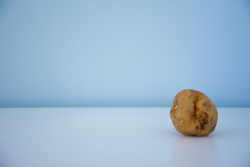 non-standard ugly fresh raw potato unusual form lying closely on light blue background. Close-up.