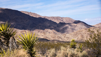 Colorful Desert landscape