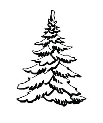 Obraz premium Spruce. Black and white illustration. Vector clipart. Hand-drawn