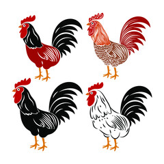 Chicken,hen , rooster illustration poultry and farm animal vector set graphic design element.