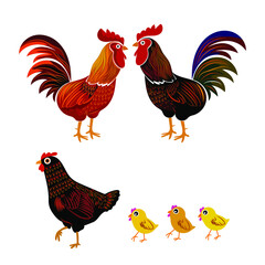 Chicken,hen , rooster illustration poultry and farm animal vector set graphic design element.