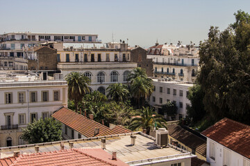 Obraz premium Algiers skyline, city view from the hill, Algiers, Algeria
